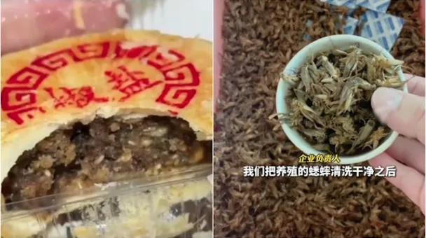 中秋,腐乳,臭豆腐,老陈醋,蟋蟀,月饼,馅料