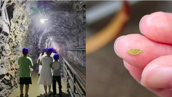 金礦游,黃金,遊客,淘金,金礦遺址,旅遊,黃金主題游