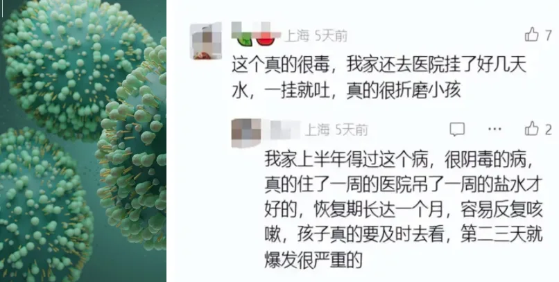 RSV,病毒,上海,兒科,流行病