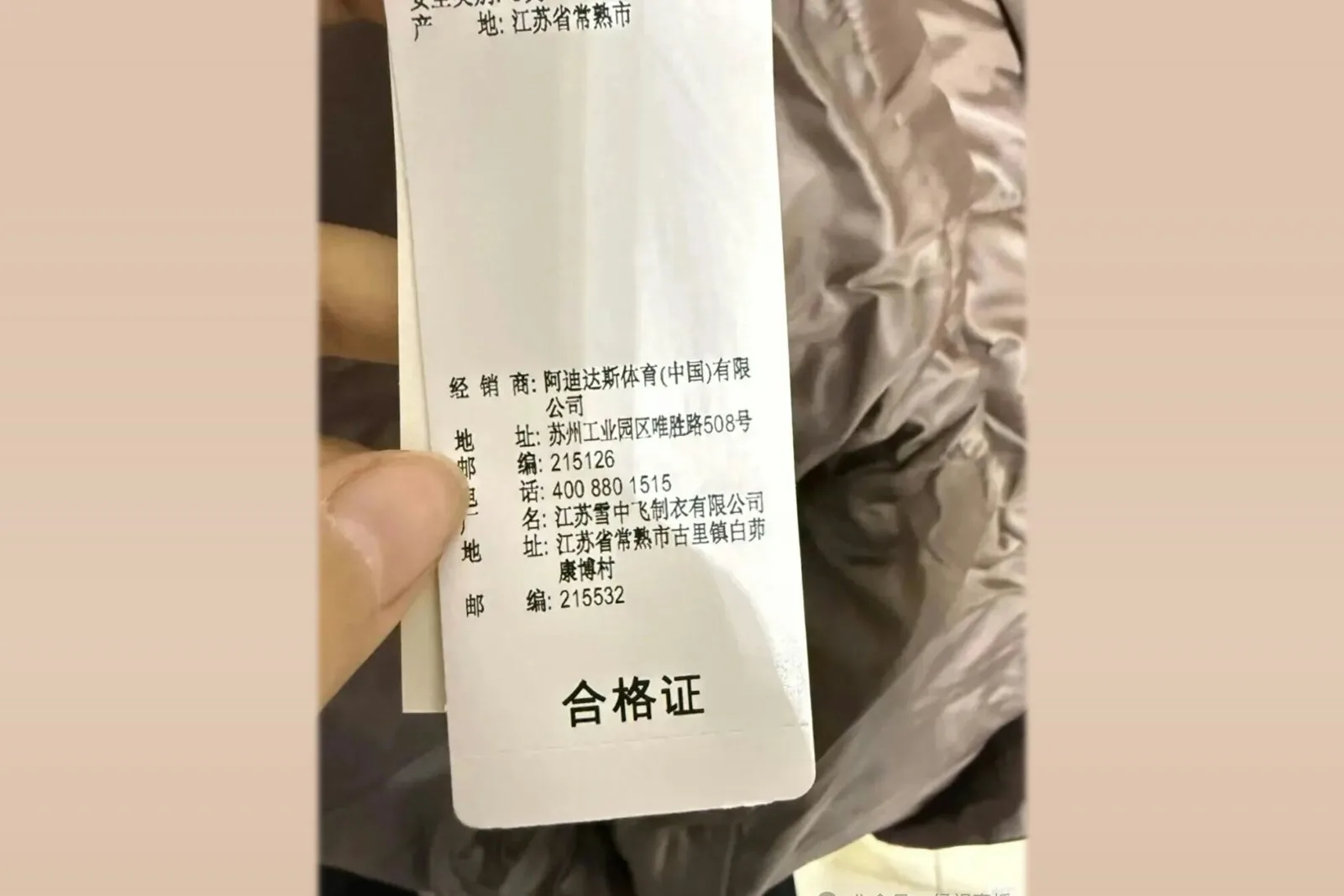 大陸網民發現，網購的Adidas羽絨其實是由大陸知名品牌「雪中飛」代工。（網路圖片）