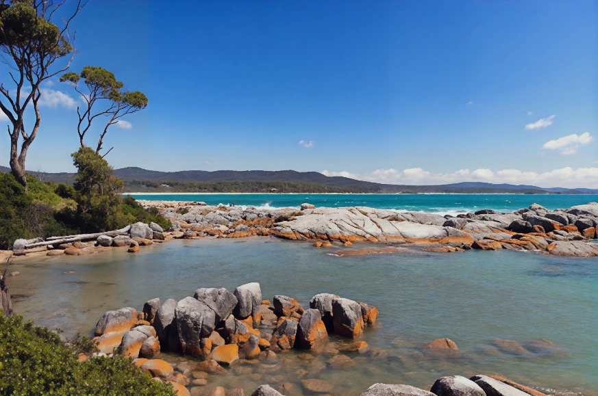 澳大利亞比納隆灣。(Photo by Mackenzie Sweetnam/Getty Images)