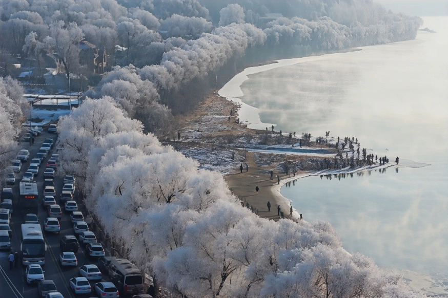 中國東北吉林省松花江畔覆蓋著霜雪的樹木。(Photo by AFP) / China OUT (Photo by STR/AFP via Getty Images)