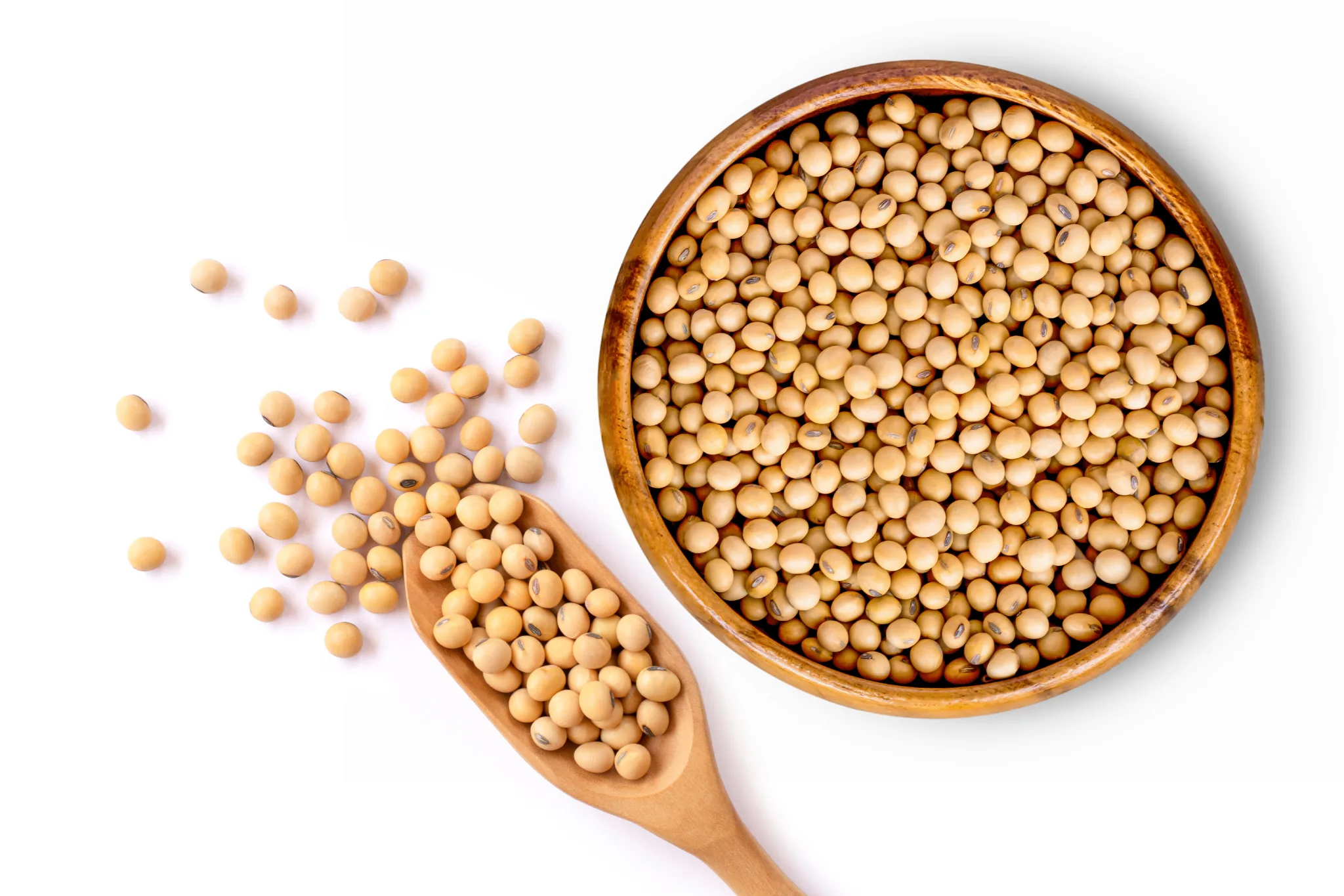 中国开始大量购买美国大豆尽管价格高昂- 澳洲看新闻网最新澳洲新闻| 中国新闻| 港台新闻| 国际新闻