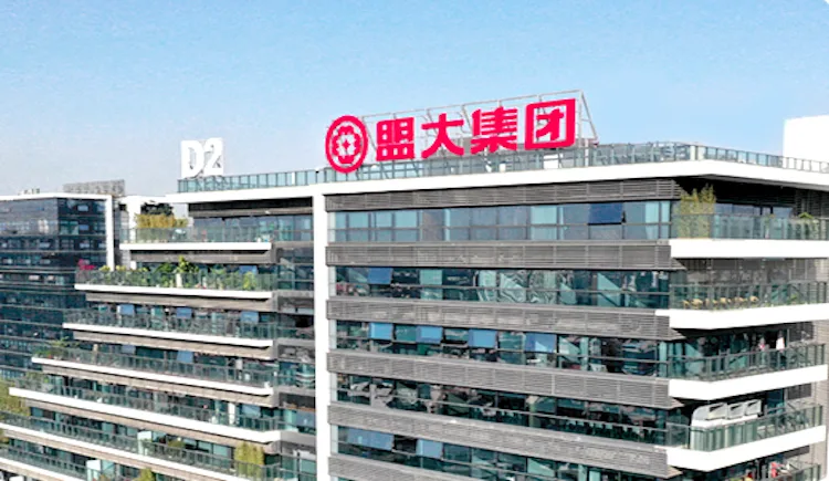 东莞,盟大,集团,爆雷,拘留,B2B,盟大集团