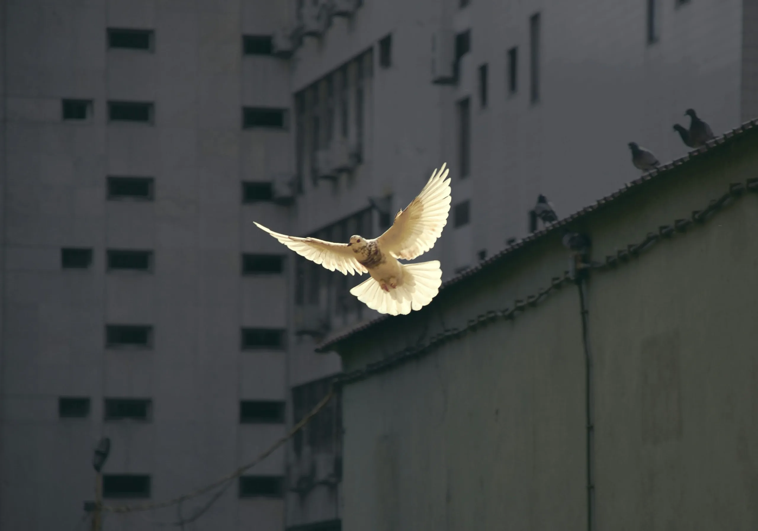图片来源：unsplash