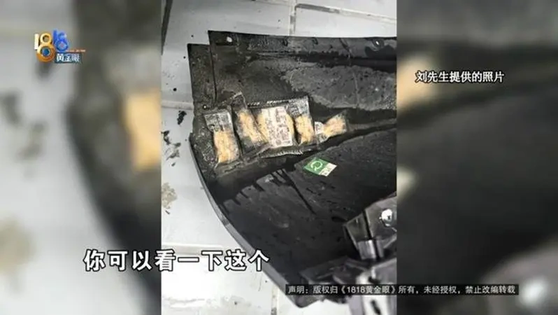 汽车因故障送交付中心定损，防撞梁内竟然出现麻花和饼干等零食。（图取自1818黄金眼）