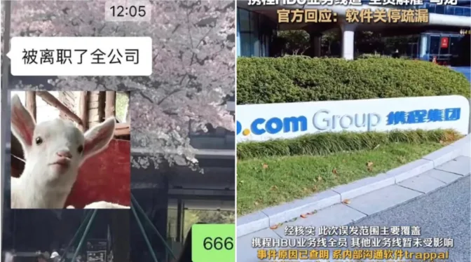 携程,乌龙,离职,失业