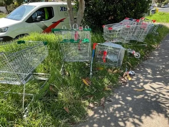 被丢弃的超市购物车（Reddit）
