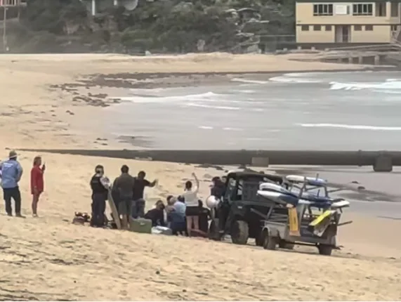 男子被鲨鱼咬伤（Facebook）