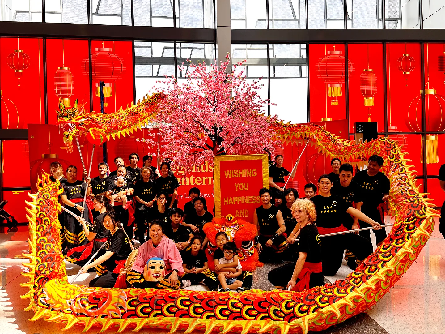 墨尔本中华青年会的舞龙舞狮表演，为 Springvale Homemaker Centre「马年大吉」庆典盛大开场，锣鼓震天，金狮腾跃，现场观众欢呼喝彩，喜气洋洋。