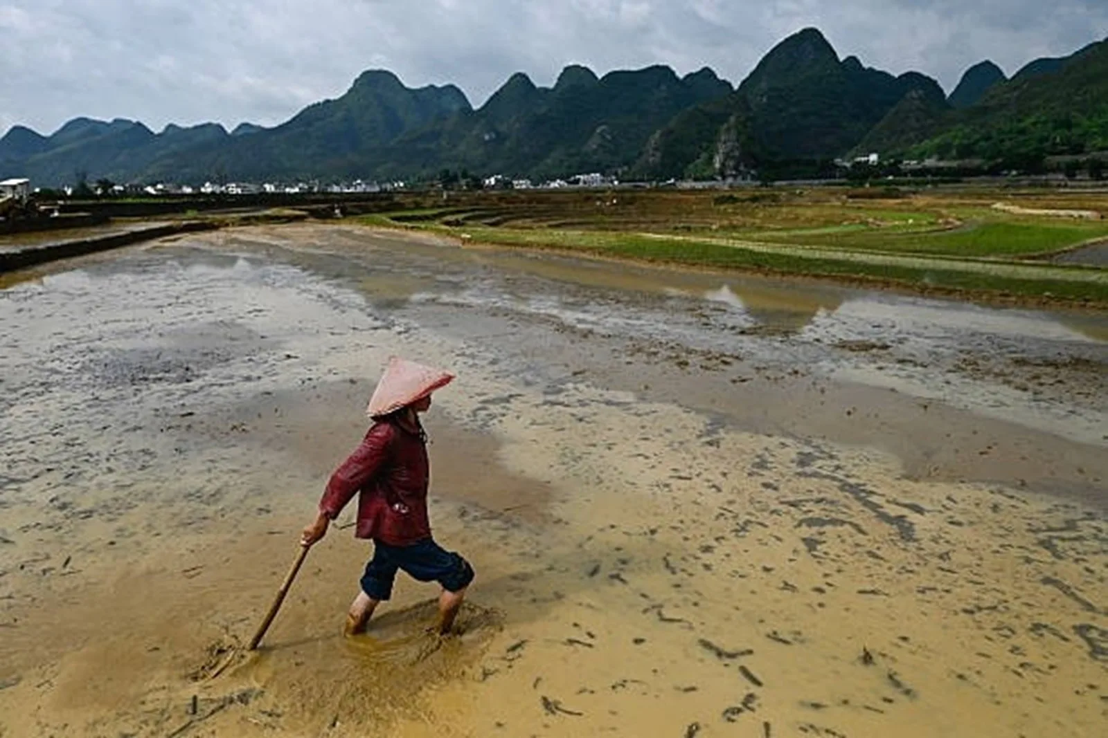 一名農民在貴州省興義市郊外的稻田勞作。資料圖片。（PEDRO PARDO/AFP via Getty Images）