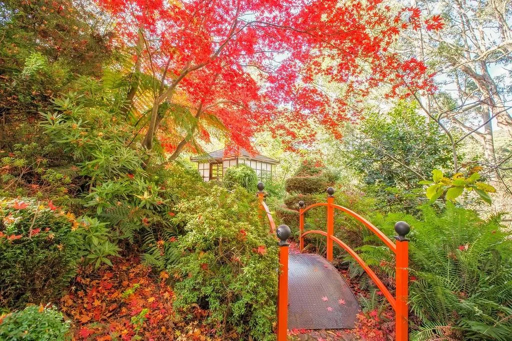 Forest Glade Gardens 图片来源：Shutterstock