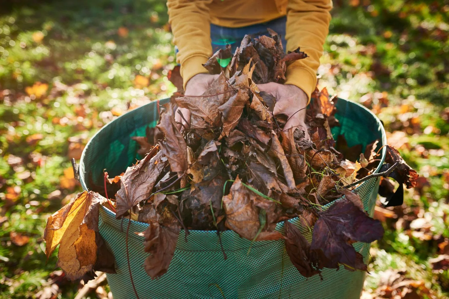 autumn-gardening-jobs