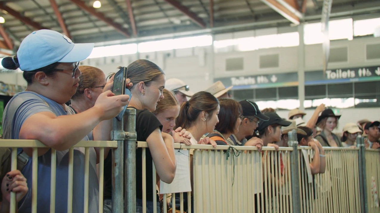Fun Pass 故障引发混乱,悉尼皇家复活节展受影响。（截图取自YouTube/Sydney Royal Easter Show）