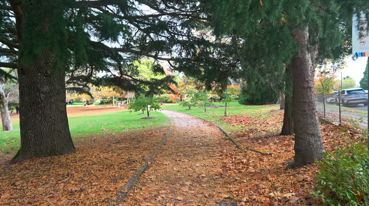 布萊克希思(Blackheath)的秋色。（Source：YouTube/Aussie Walker)