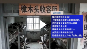 收容所,廣東,東莞,樟木頭,萬人坑