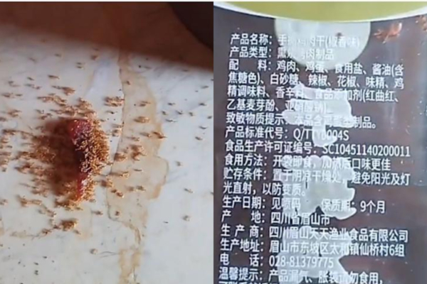 近日，海南省有一位兒童不小心將肉乾碎屑掉到地上，引來一大群螞蟻搶食，結果都在短短兩三分鐘內死亡。（視頻擷圖）