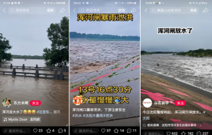 辽宁,沈阳,暴雨,交通,瘫痪,停课,停工,停业