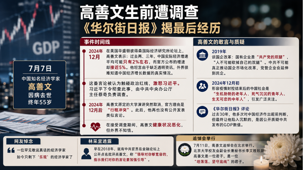 质疑,经济,数据,高善文,习近平,调查,
