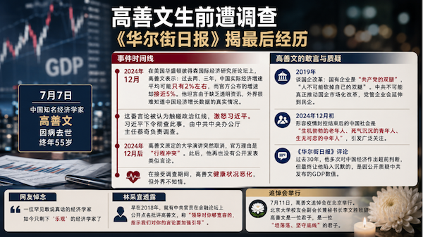 質疑,經濟,數據,高善文,習近平,調查,