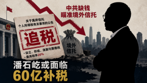 北京,離岸信託,潘石屹,補稅,地方財政