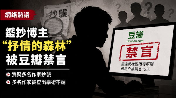 抒情的森林,王浩,豆瓣,禁言,鉴抄博主,抄袭,孙频,抄袭,学术不端
