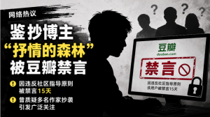 抒情的森林,王浩,豆瓣,禁言,鉴抄博主,抄袭,孙频,抄袭,学术不端