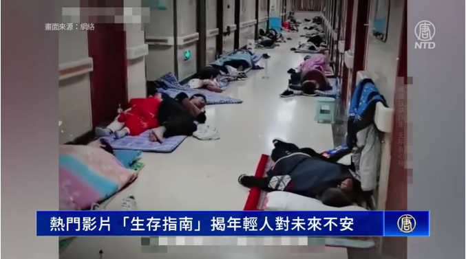 影片,生存指南,热门,年轻人,失业,劳动力,失业率,裁员,工作