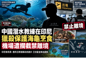 中国,潜水员,教练,印尼,印度尼西亚,海龟,烹食