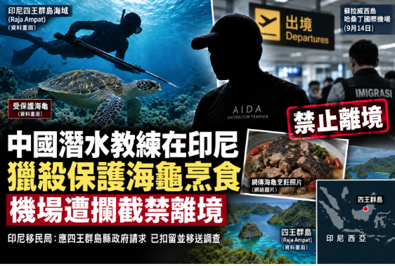 中国,潜水员,教练,印尼,印度尼西亚,海龟,烹食